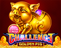 Feature Buy.Golden Pig