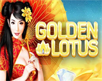 Golden Lotus RT